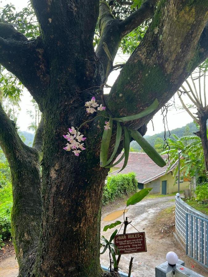 Darshan'S Home Stay มาดิเครี ภายนอก รูปภาพ